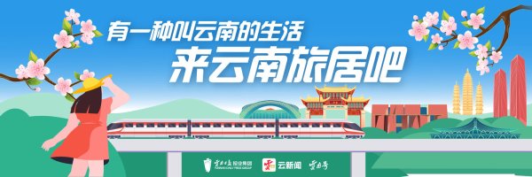 股票配资门户导航查询 来云南旅居吧丨荷香伴夏 静享时光